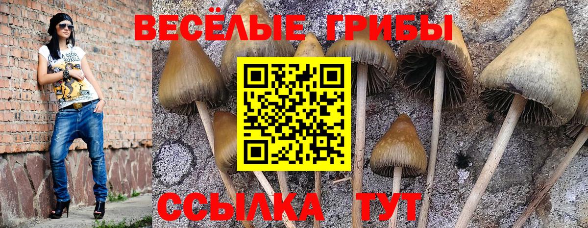 Кандалакша  Галлюциногенные грибы мицелий  продажа наркотиков  Вход с VPN 